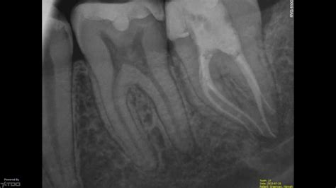 canossa dental|主頁 .